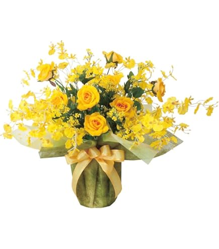 Amazon｜光の楽園 フェイクグリーン 造花 ナチュラルパキラ1.8m